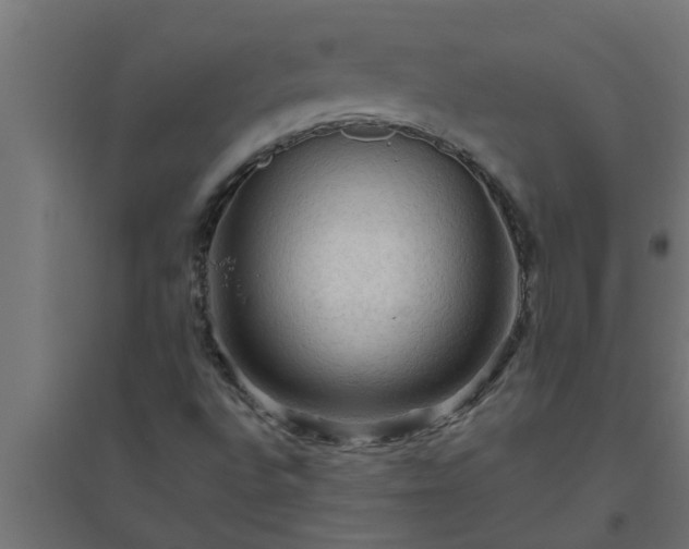 X0000094811496200711241434