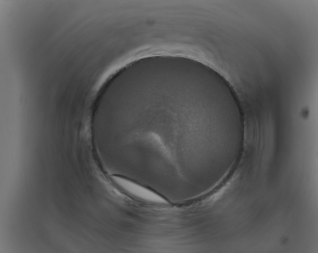 X0000094811498200711241434