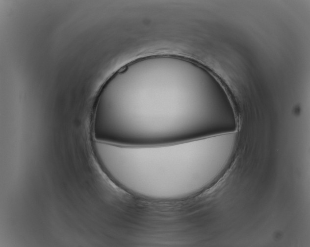 X0000094811500200711241434