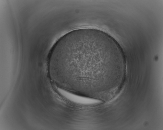 X0000094811501200711241434