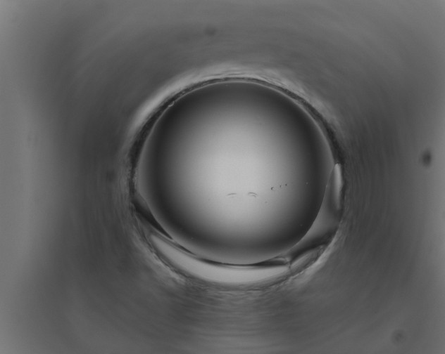 X0000094811502200711241434