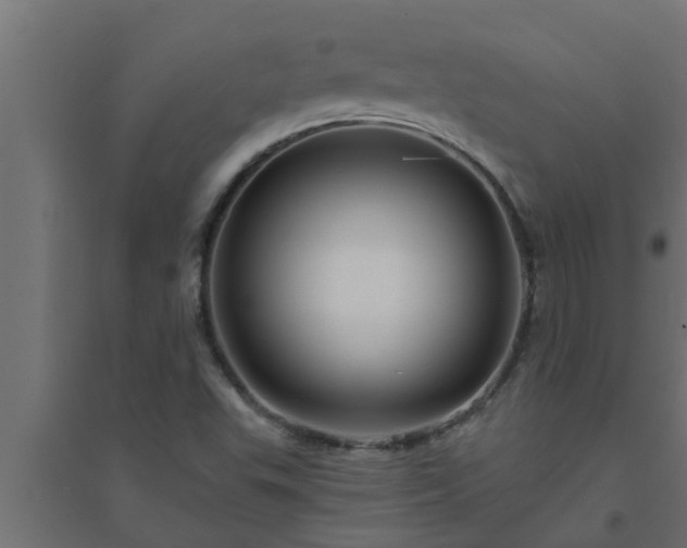 X0000094811503200711241434