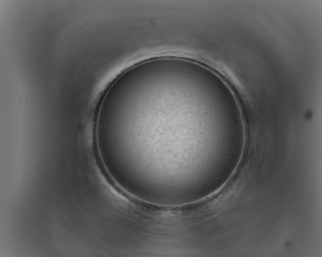 X0000094811504200711241434