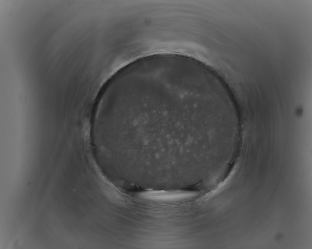 X0000094811505200711241434