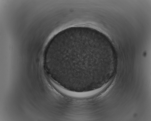 X0000094811506200711241434