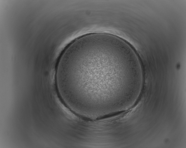 X0000094811507200711241434