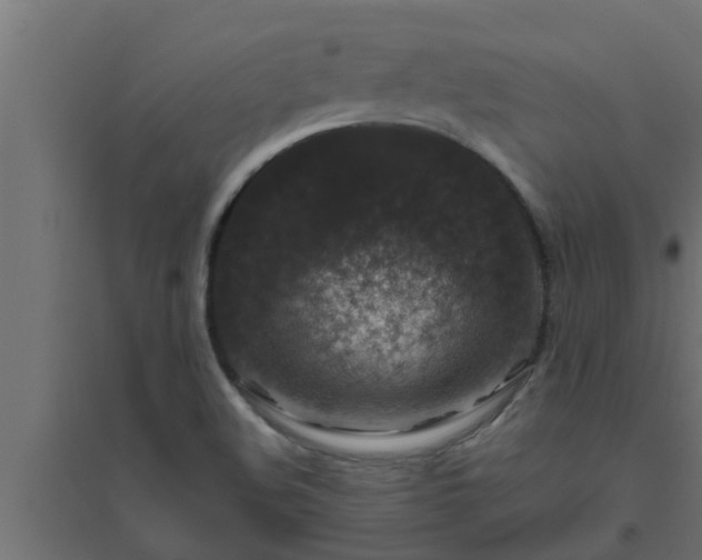 X0000094811508200711241434