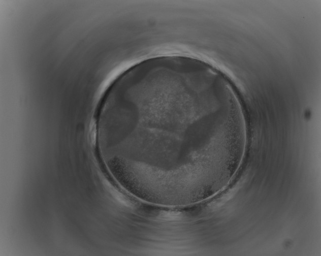 X0000094811509200711241434