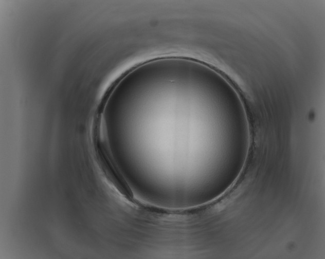 X0000094811510200711241434