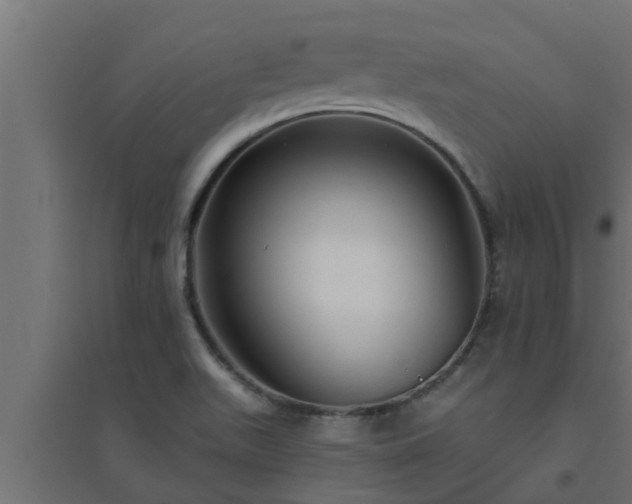 X0000094811511200711241434