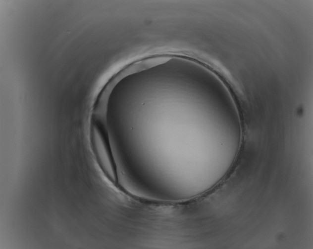 X0000094811512200711241434