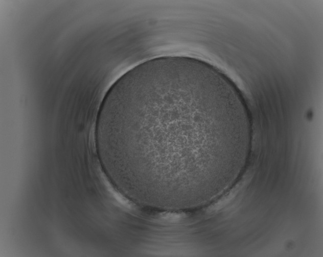 X0000094811513200711241434