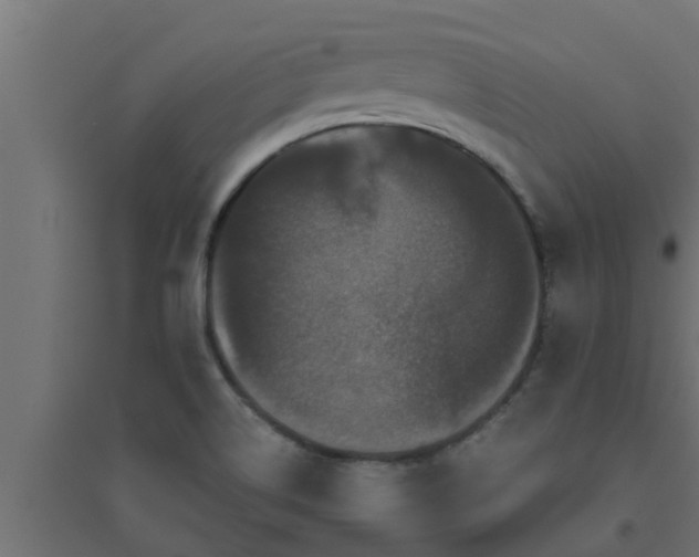 X0000094811514200711241434