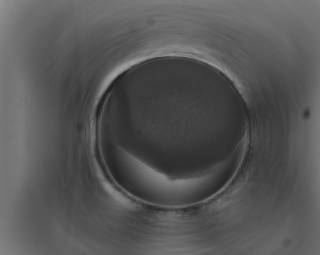 X0000094811515200711241434