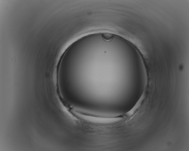 X0000094811516200711241434