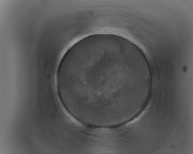 X0000094811517200711241434