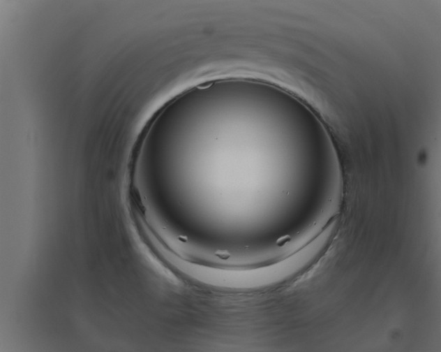 X0000094811518200711241434