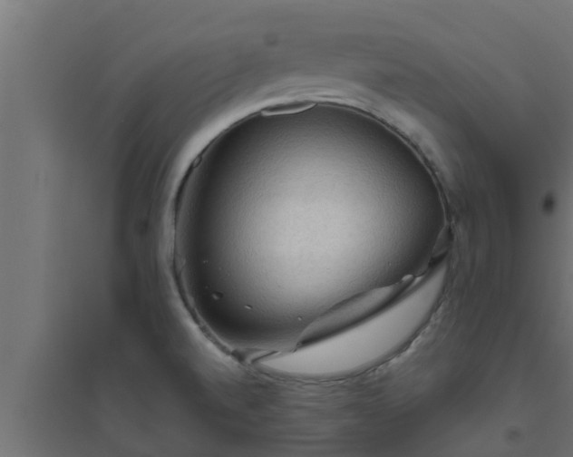 X0000094811520200711241434