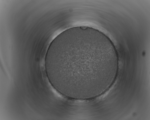 X0000094811521200711241434