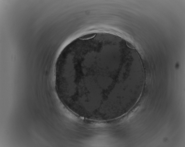 X0000094811522200711241434