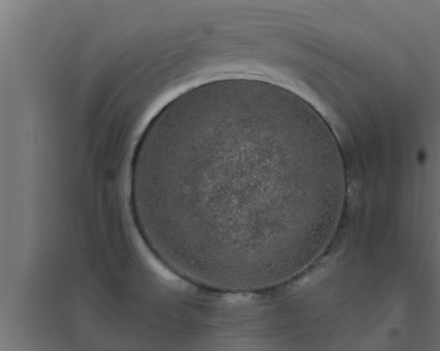 X0000094811523200711241434