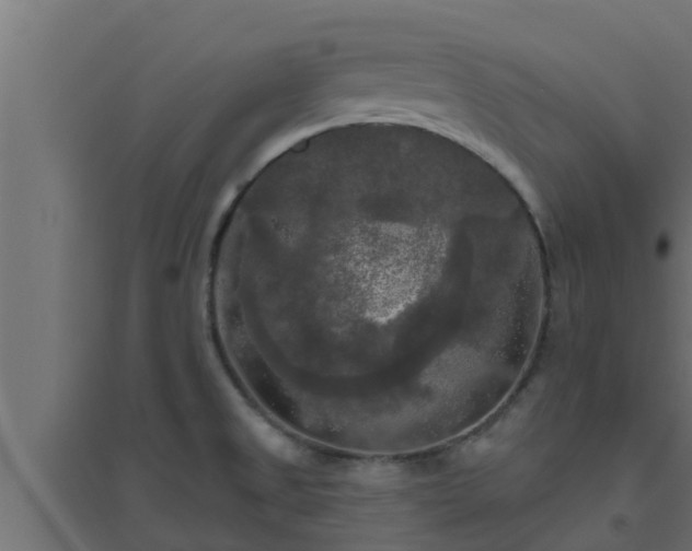 X0000094811525200711241434