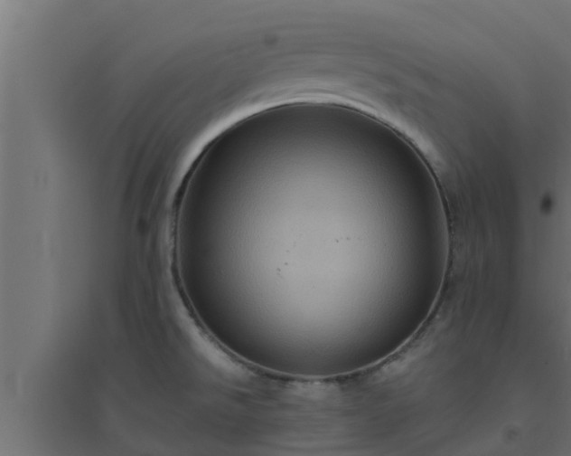 X0000094811526200711241434