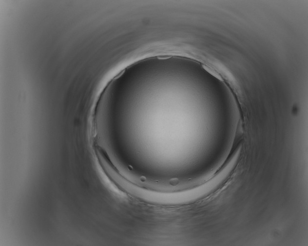 X0000094811528200711241434