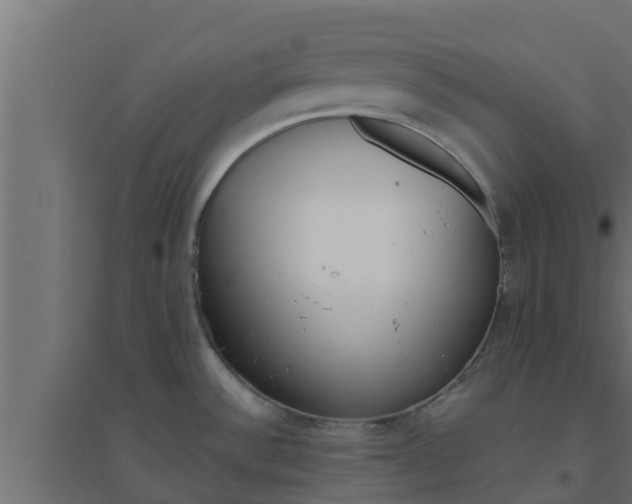 X0000094811532200711241434