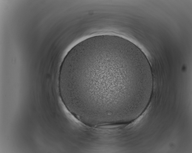 X0000094811534200711241434