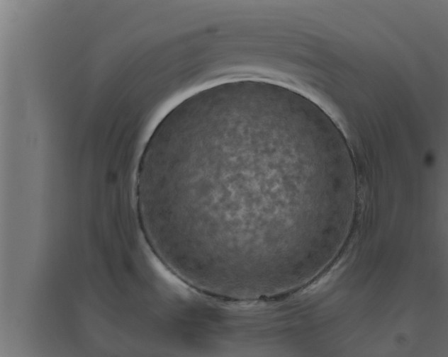 X0000094811535200711241434