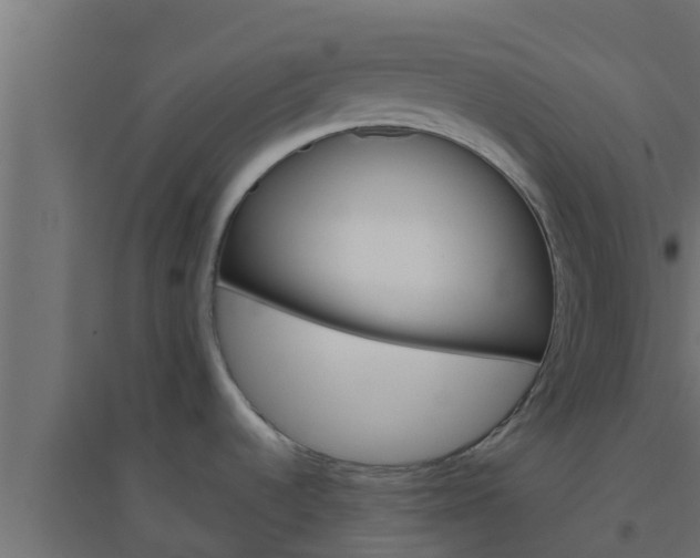 X0000094811536200711241434