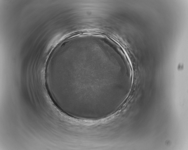 X0000094810002200711301602