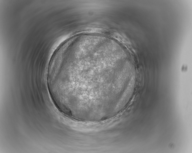 X0000094810003200711301602