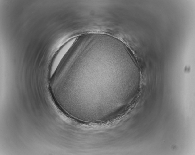 X0000094810005200711301602