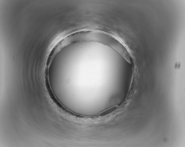 X0000094810007200711301602