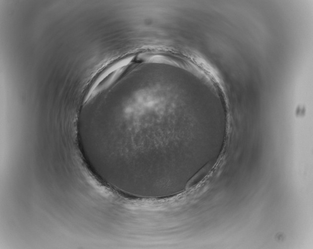 X0000094810009200711301602