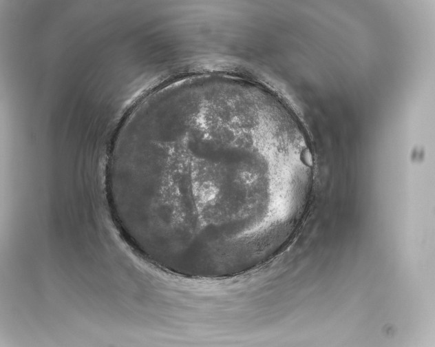 X0000094810010200711301601