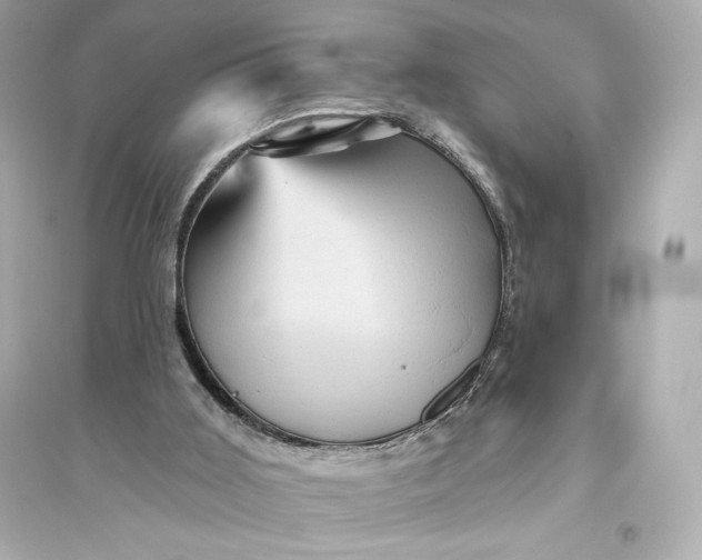 X0000094810011200711301601