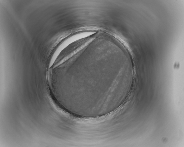 X0000094810013200711301601