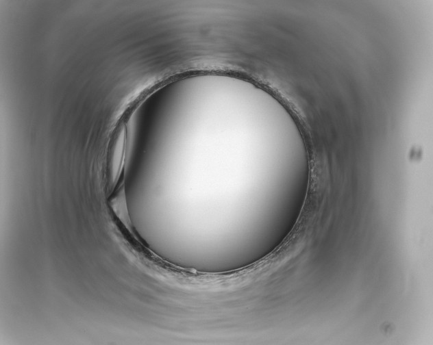 X0000094810015200711301601