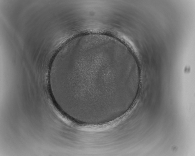 X0000094810017200711301601