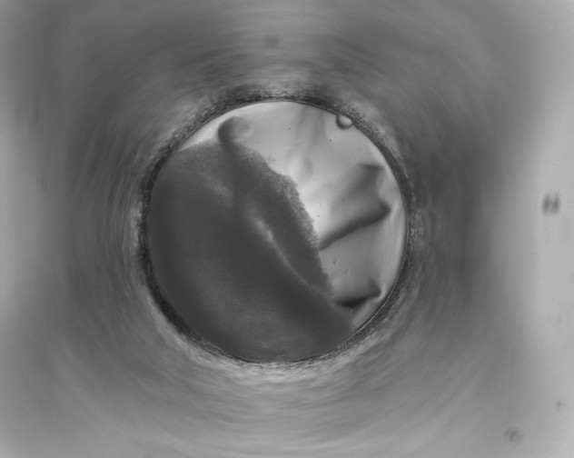 X0000094810018200711301601