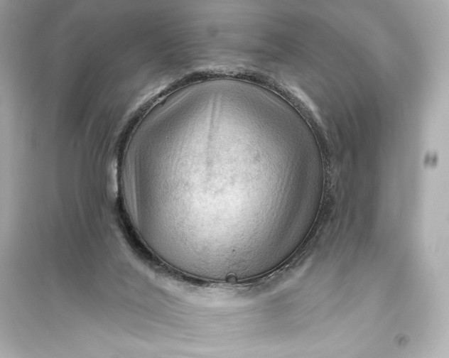 X0000094810020200711301601