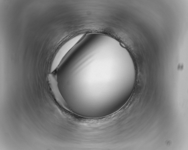 X0000094810021200711301601