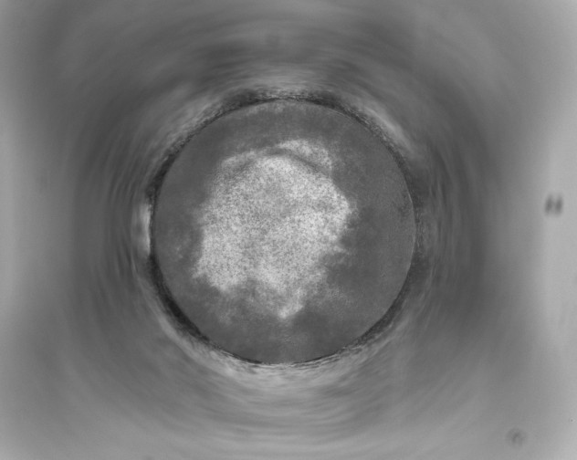 X0000094810022200711301601