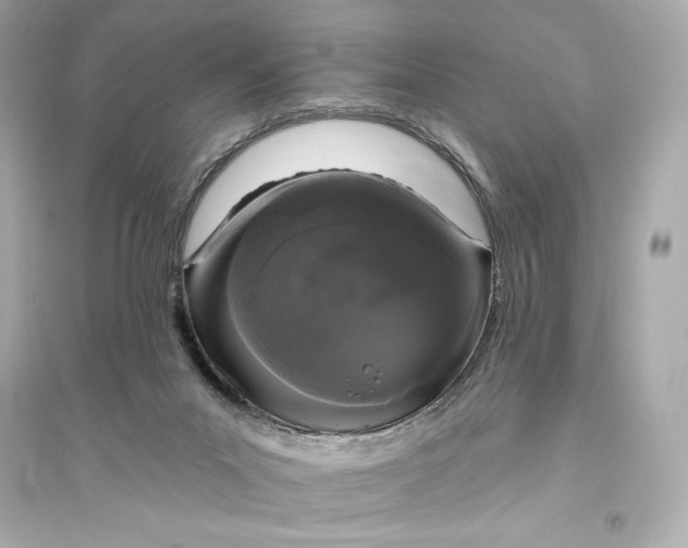 X0000094810023200711301601