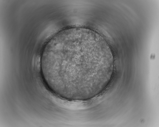 X0000094810024200711301601