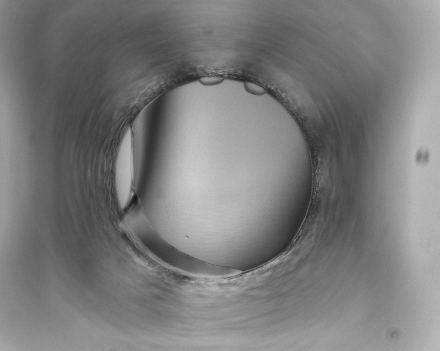 X0000094810025200711301601