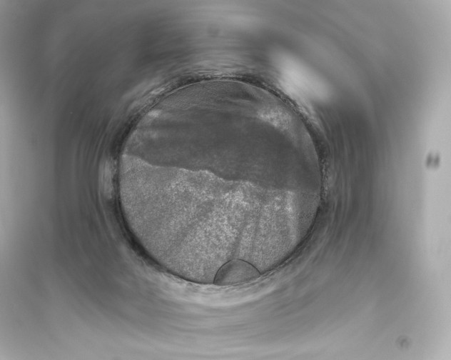 X0000094810026200711301601